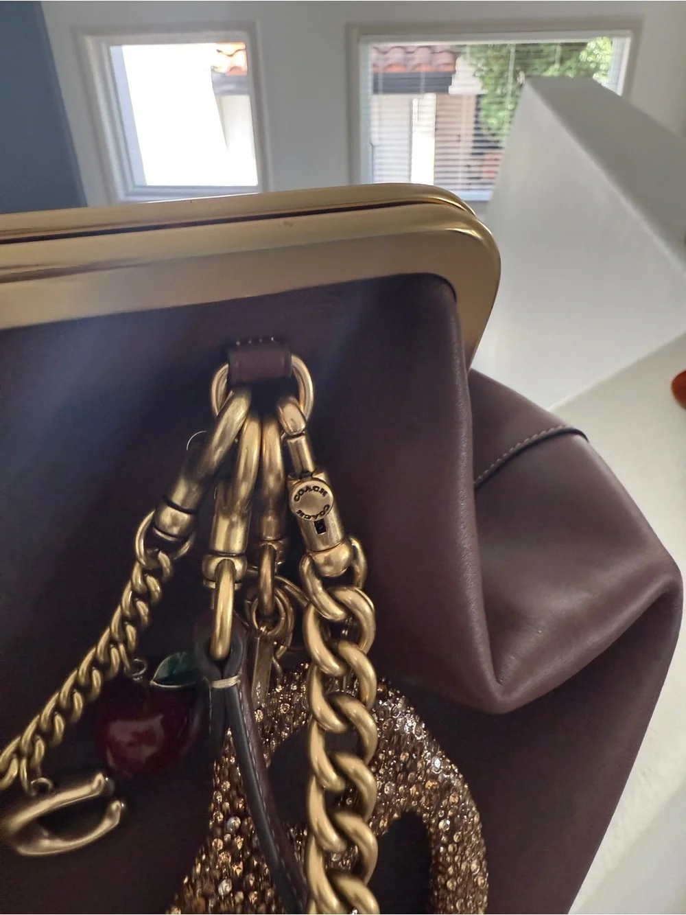 Coach premium dark